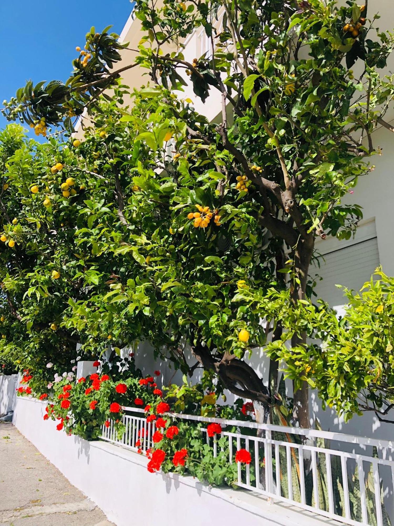Lemon Tree'S House Kalavárda Exterior foto